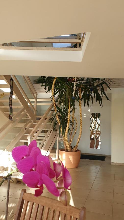 Grande Maison Avec Spa Proche De Caen Et De La Mer Brouay ภายนอก รูปภาพ
